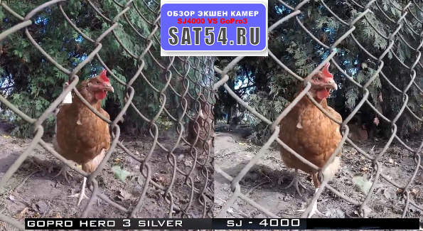 Сравнение работы двух камер SJ4000 и GoPro3 - из статьи "сравнение камер..." на сайте www.sat54.ru в Новосибирске
