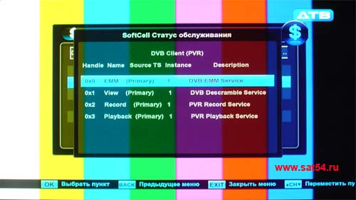 www.sat54.ru Тест HD ресивера World Vision S910IR. Меню. Служебная информация. Статус обслуживания.