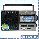  FEPE FP-901U (USB, SD, , 220V)