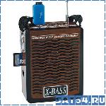  Waxiba XB-907U (, USB, TF, SD, AUX, , , 220V)