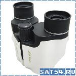   SL-35 (10*22)