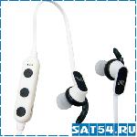     MS-101 JBL (Bluetooth)